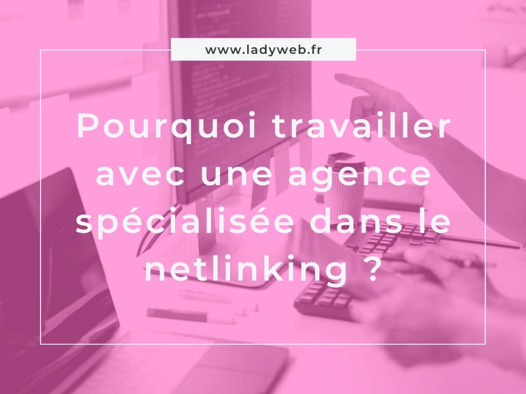agence netlinking