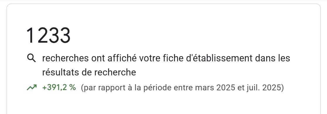 Capture Google Business Profile - recherches ayant affiché la fiche
