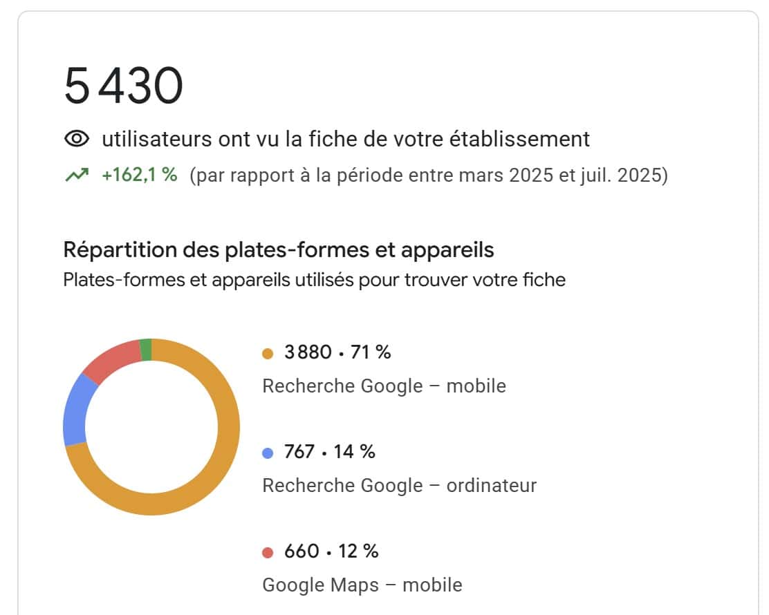 Capture Google Business Profile - vues de la fiche
